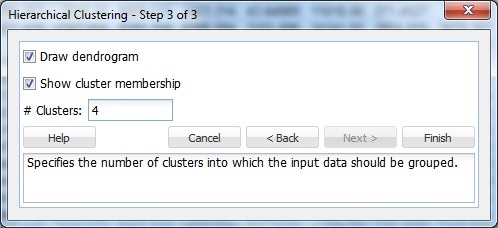 Hierarchical Clustering Step 3 of 3 Dialog